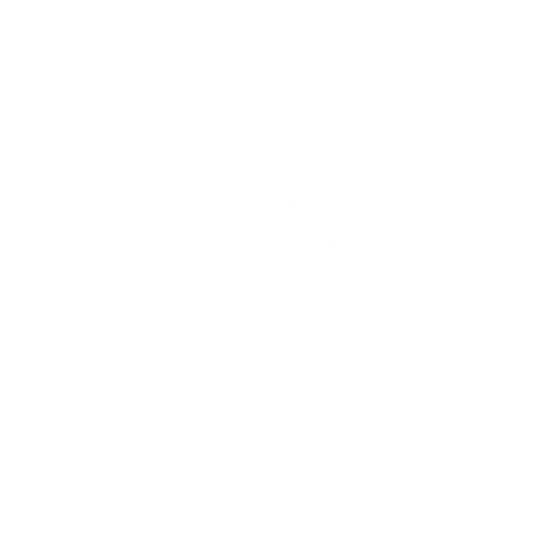 MAI Security Logo